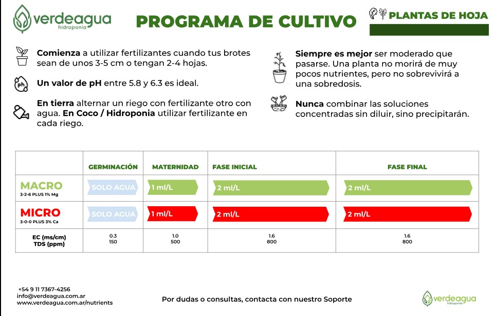 Valores Lechuga